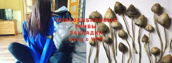 гашишное масло Богданович