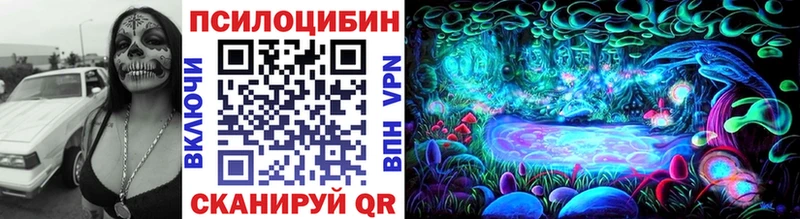 Галлюциногенные грибы Psilocybine cubensis Гай